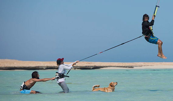 Kite Safari